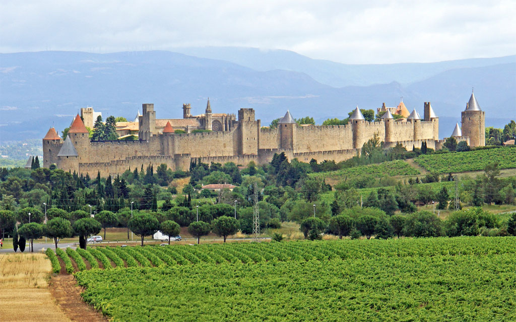 Château de Carcassonne au milieu des vignes