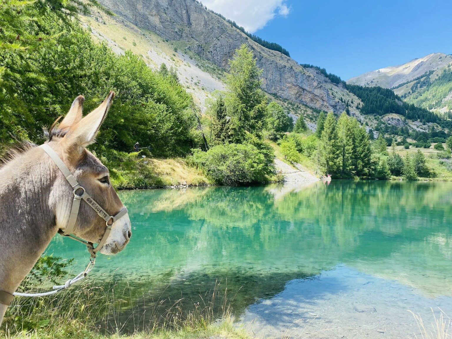 un ane devant un lac d'eau claire et les montagnes