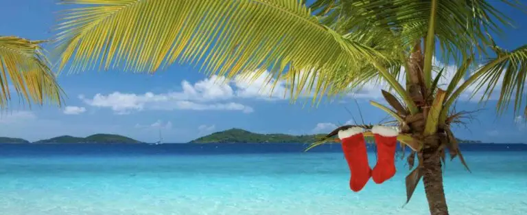 chaussettes de noel sur un palmier pour partir au soleil à Noel pas cher