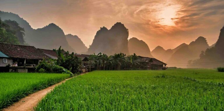 rizières et montagnes en Asie