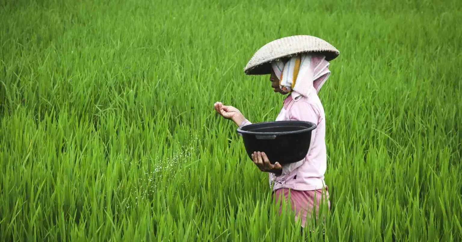 partir à la découverte de bali et ses rizières lors d'un voyage en solitaire
