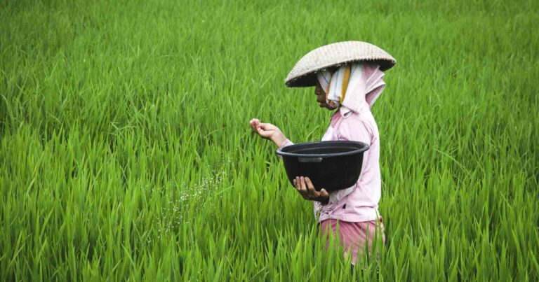 partir à la découverte de bali et ses rizières lors d'un voyage en solitaire