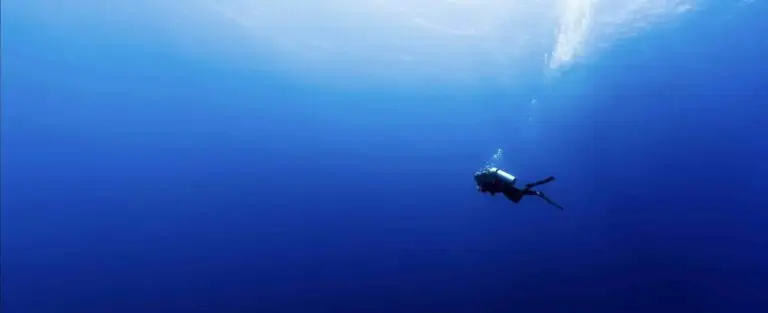 Plongeur en pleine mer dans un des meilleurs spots de plongée au monde