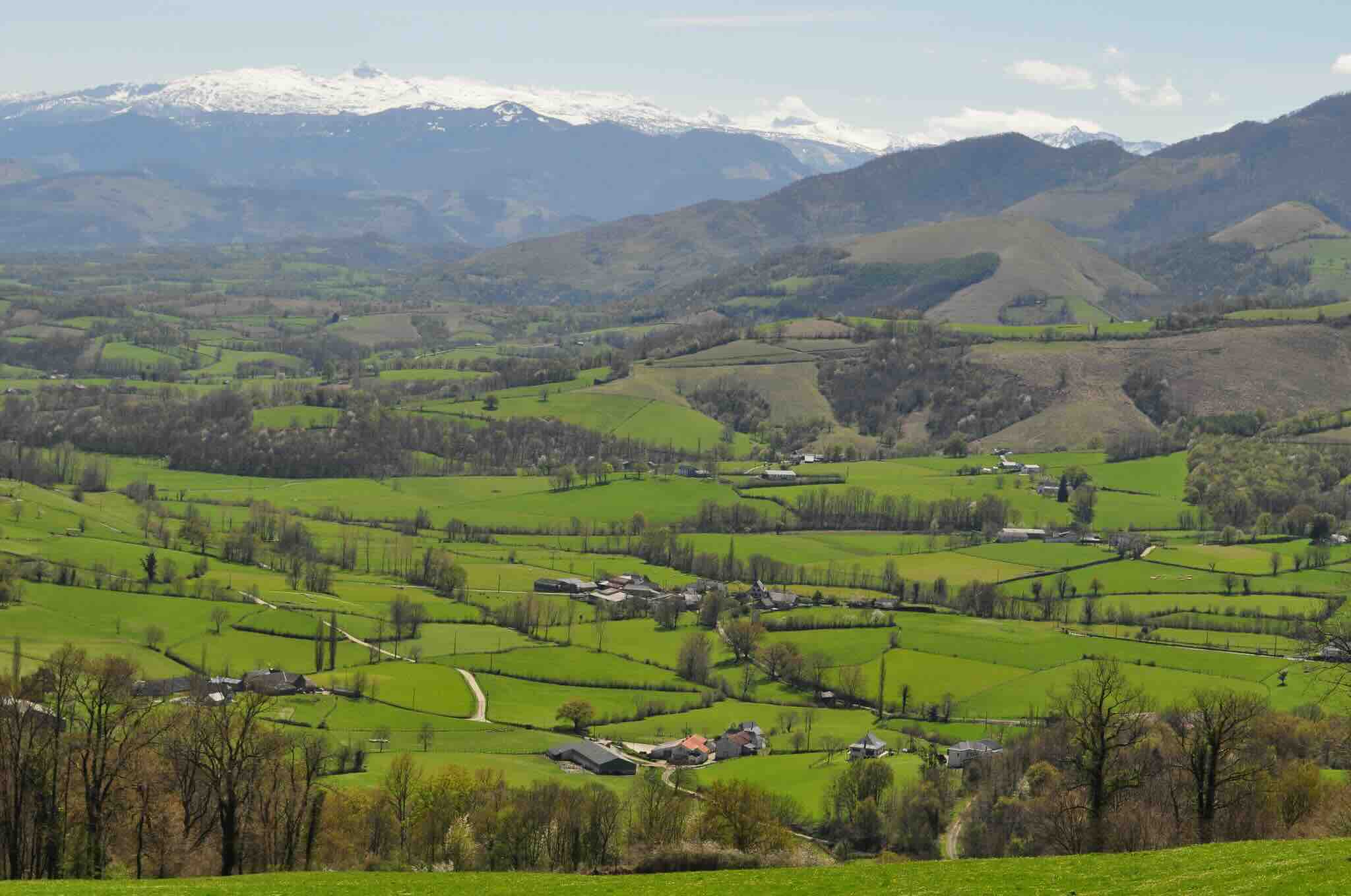 vue panoramique de la campagne en France au printemps