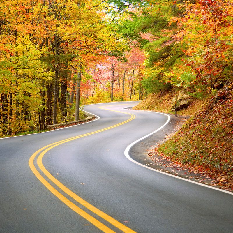 route d'automne invitant à un road trip