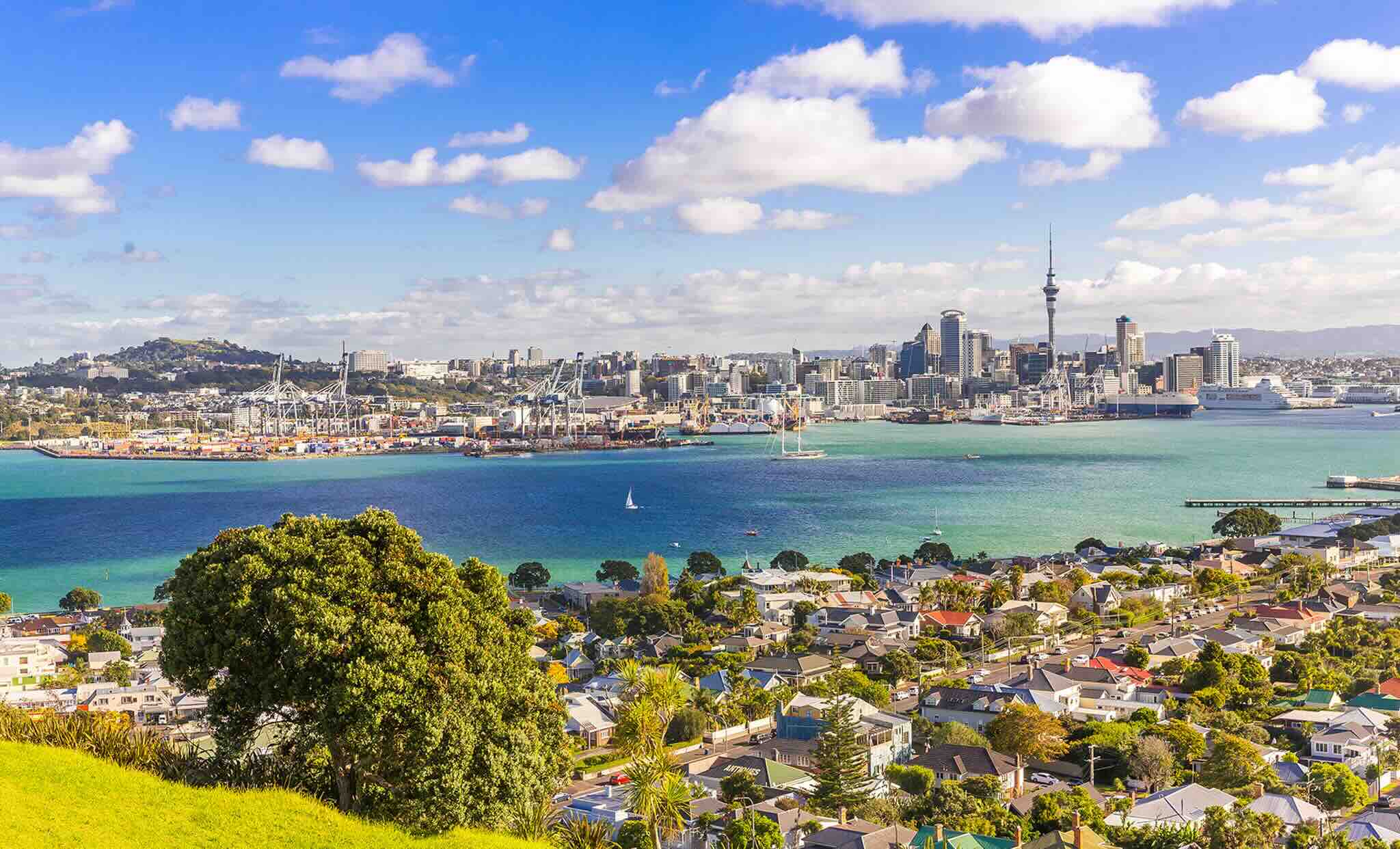 Vue panoramique à Auckland