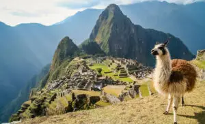 Vue sur le célèbre Machu Picchu au Pérou avec un lama au premier plan