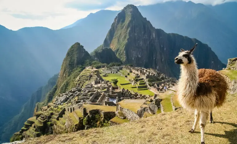 Vue sur le célèbre Machu Picchu au Pérou avec un lama au premier plan