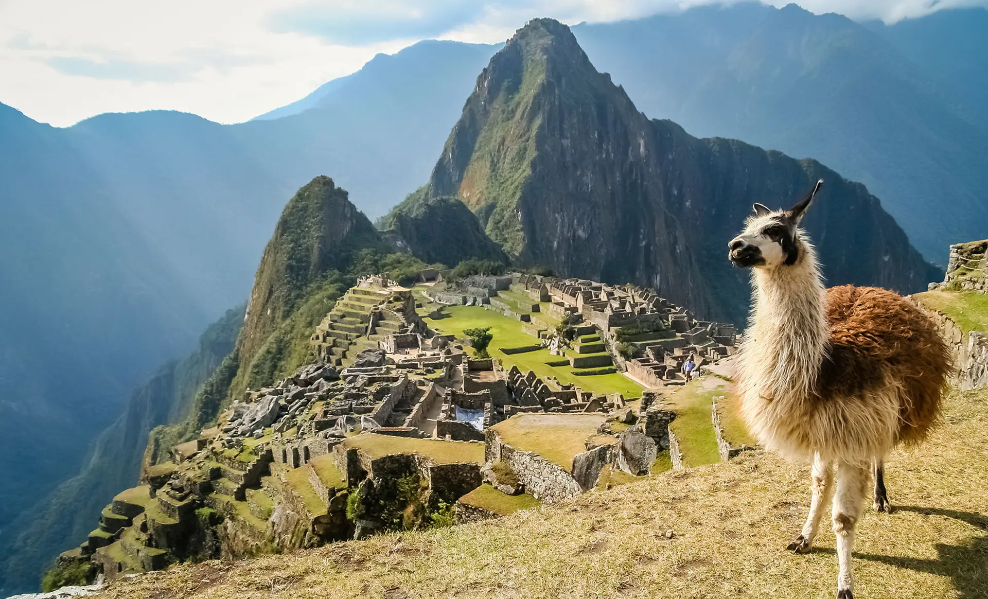 Vue sur le célèbre Machu Picchu au Pérou avec un lama au premier plan
