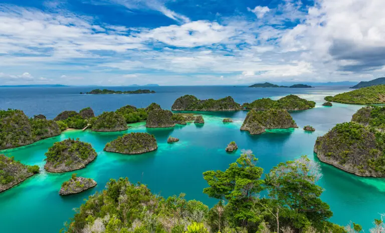 Panorama sur les îles caractéristiques de Raja Ampat en Indonésie