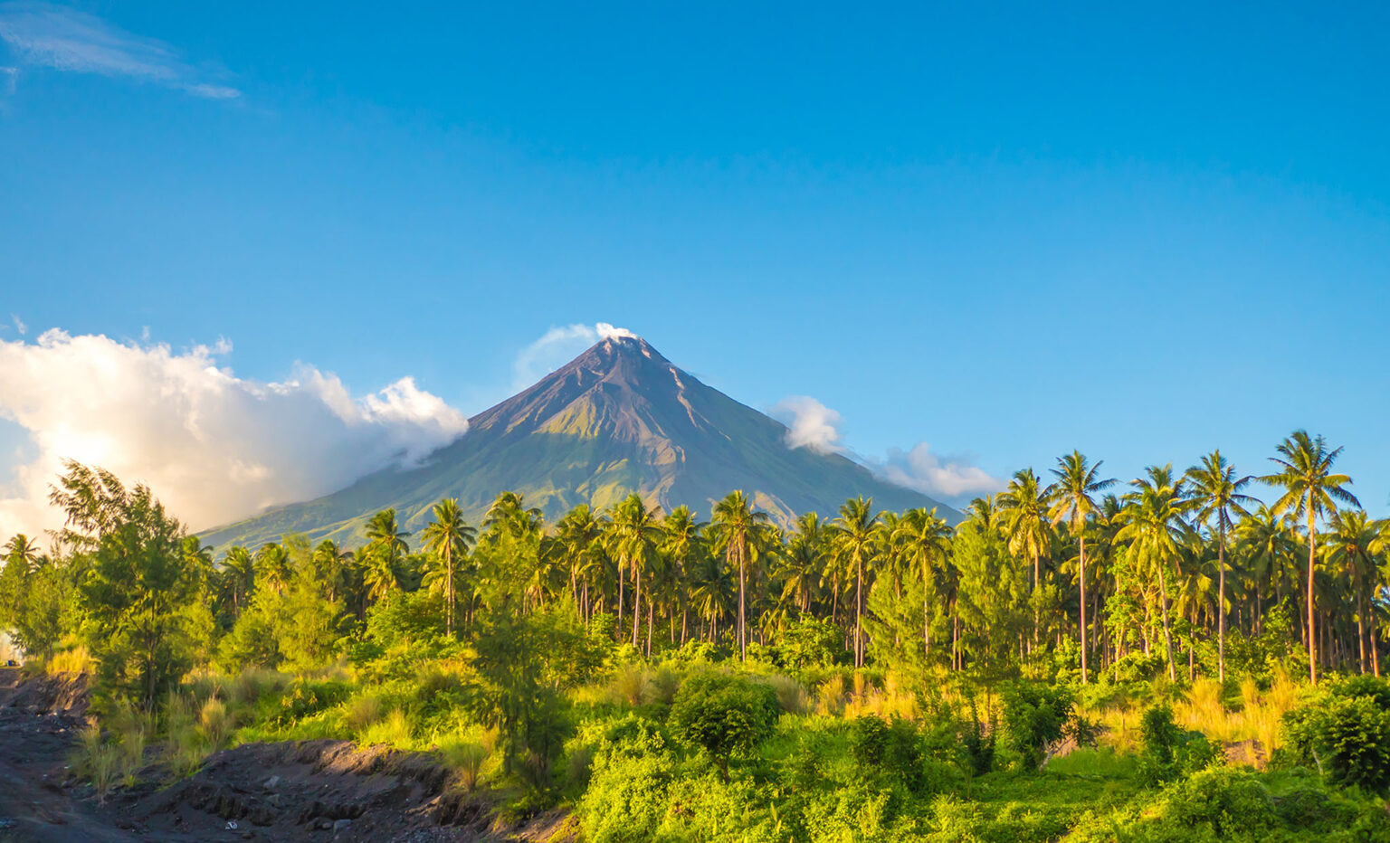 Palmiers et nature devant le célèbre volcan Mayon aux Philippines
