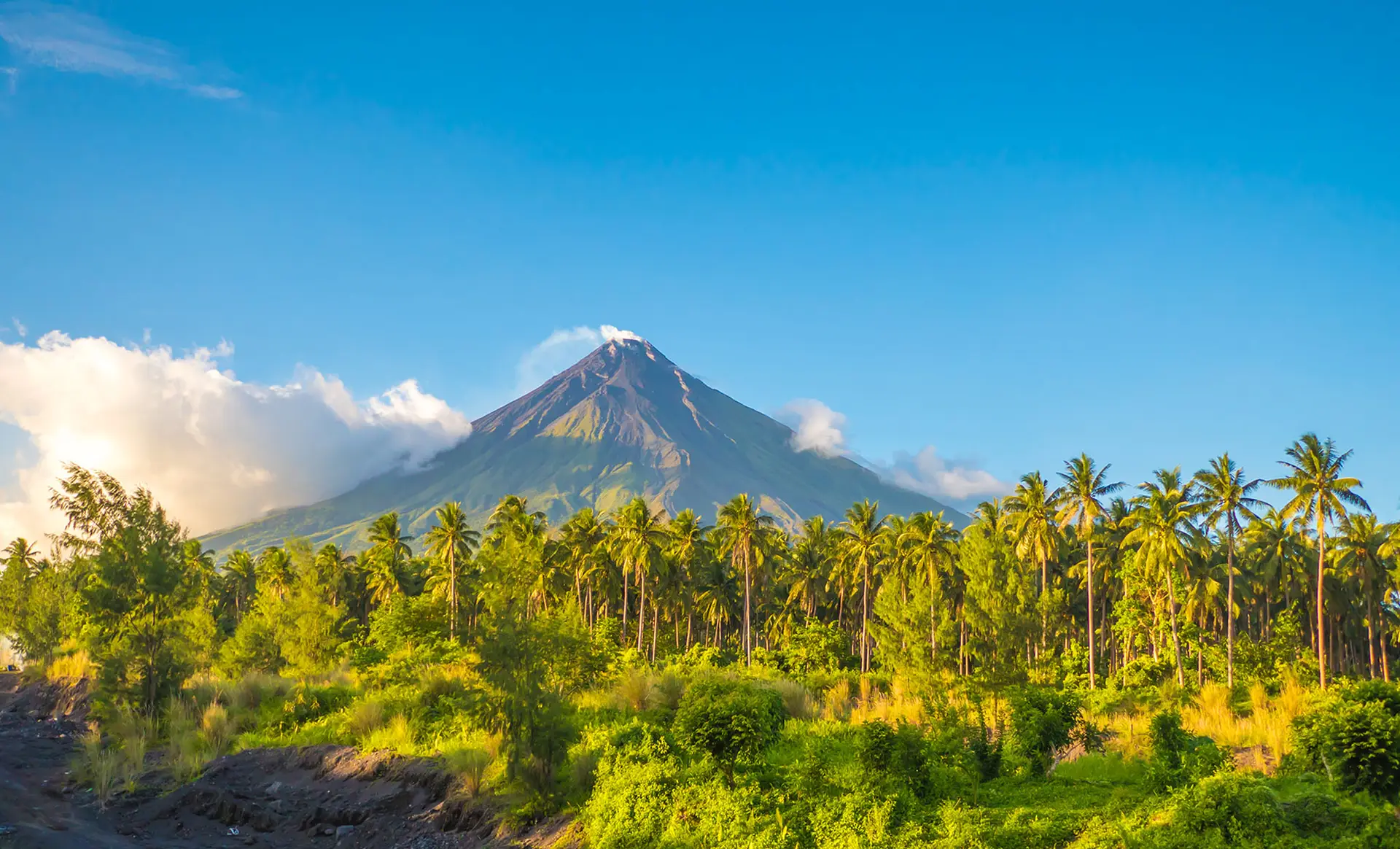 Palmiers et nature devant le célèbre volcan Mayon aux Philippines