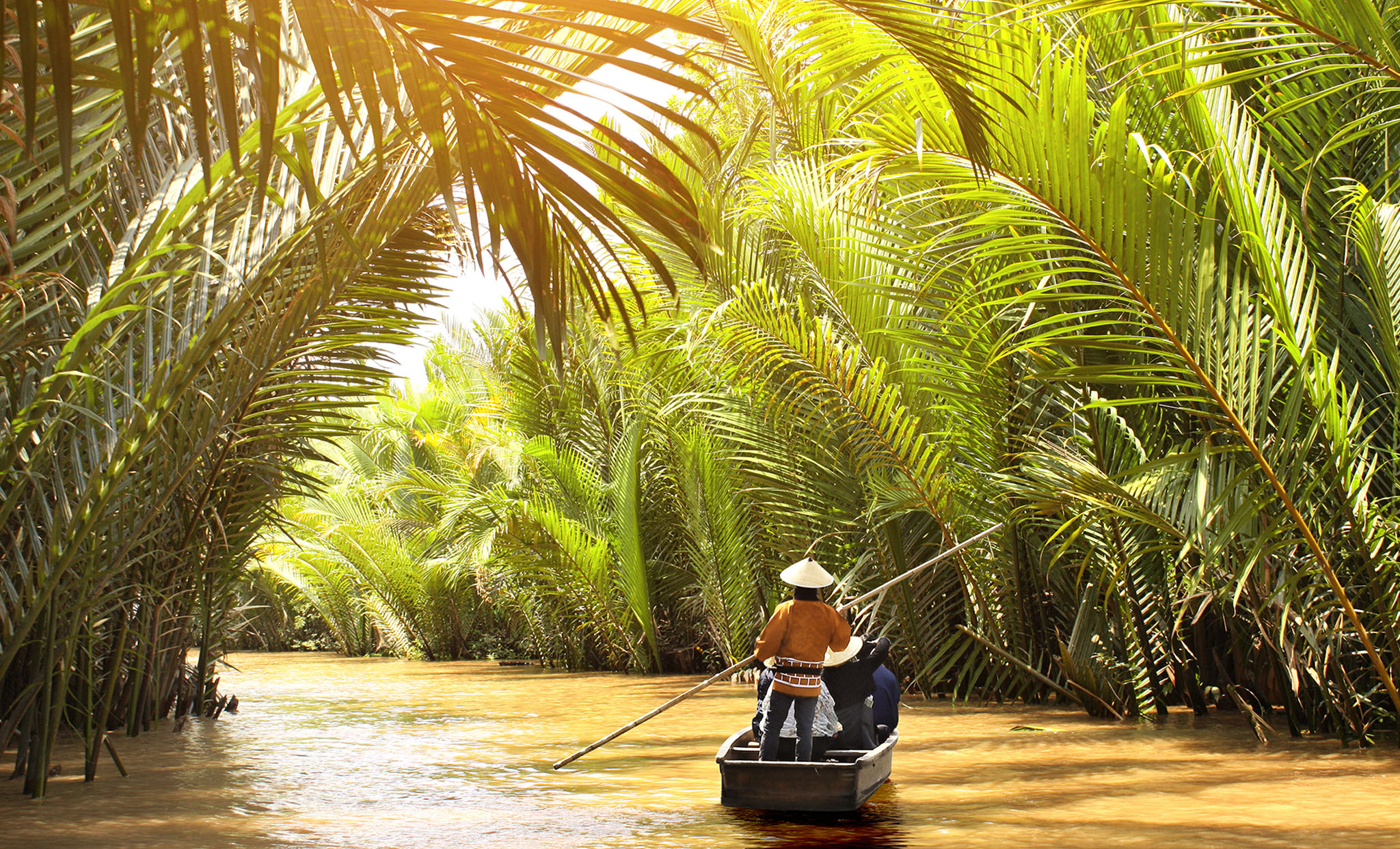 Bateau dans la nature du Delta du Mekong, au sud du Vietnam