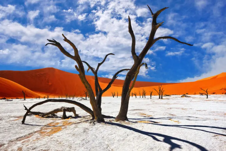 Paysage désertique de Namibie