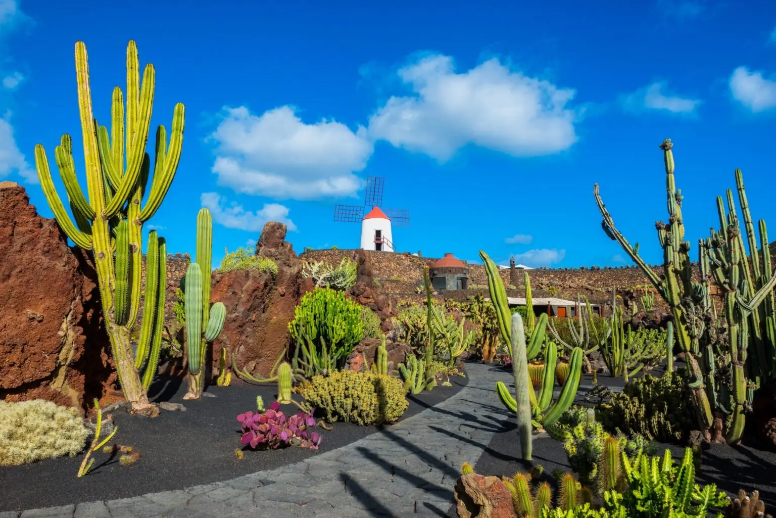 Joli paysages des Canaries pour un weekend de la Toussain au soleil