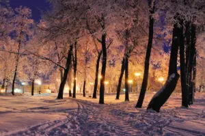 paysages enneigés pour savoir où partir en décembre