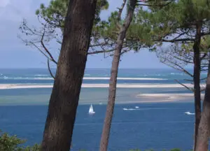 Panorama du bassin d'Arcachon pour savoir où partir la semaine prochaine en France
