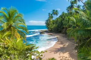 Jolie plage sauvage qui nous incite à nous demander quand partir au Costa Rica
