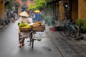 paysage du vietnam typiruq