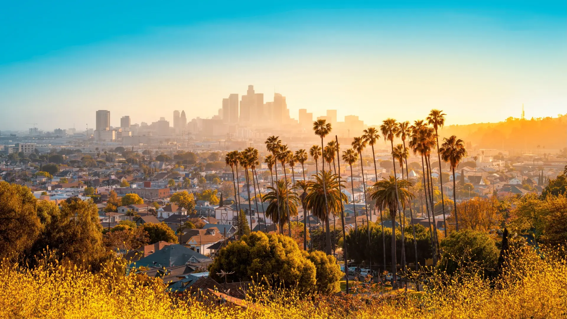 Panomara de Los Angeles