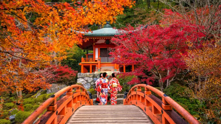 Paysage rougeoyant du japon en automne