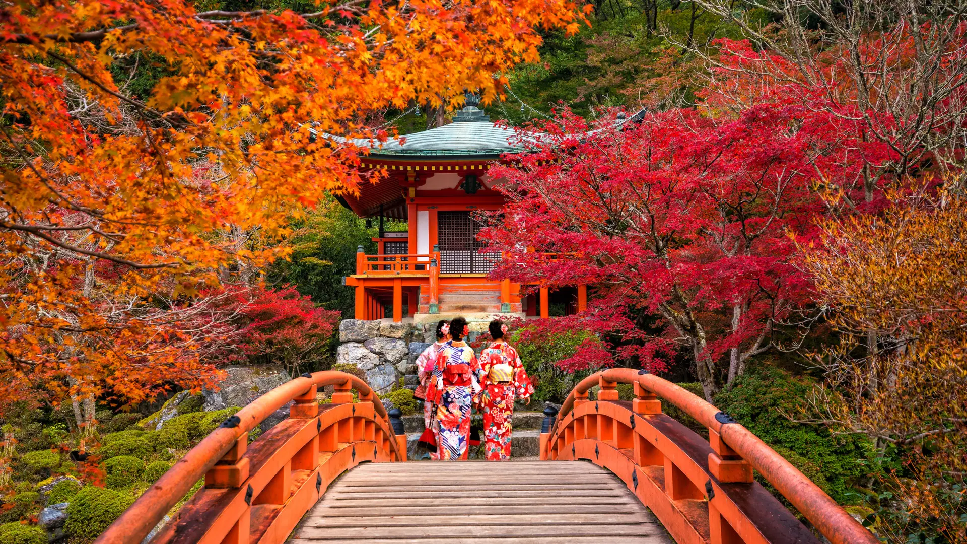Paysage rougeoyant du japon en automne